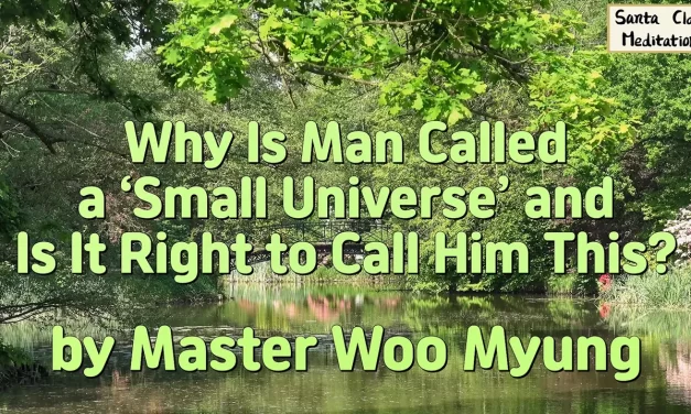 🌍 Why Is Man Called a ‘Small Universe’ and Is It Right to Call Him This? | MASTER WOO MYUNG | SANTA CLARA MEDITATION