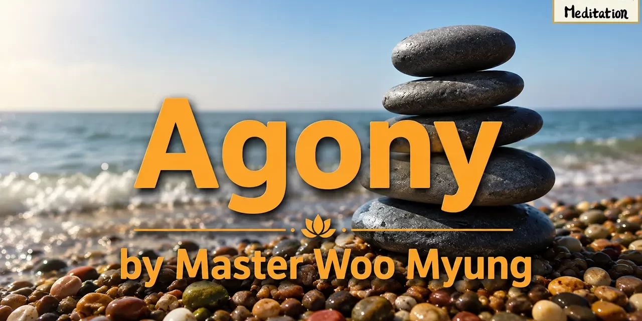 π Agony: The Self-Created Nature of Suffering | Master Woo Myung | Santa Clara Meditation