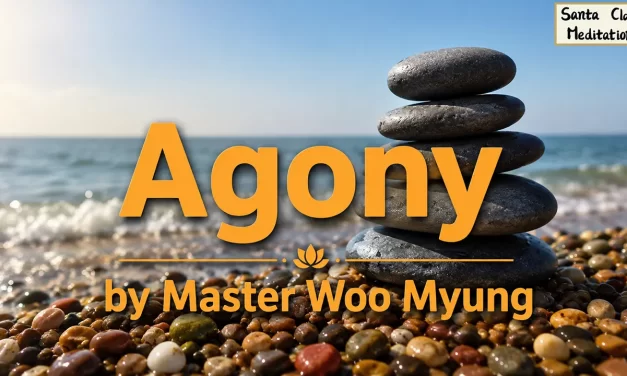 😔 Agony: The Self-Created Nature of Suffering | Master Woo Myung | Santa Clara Meditation