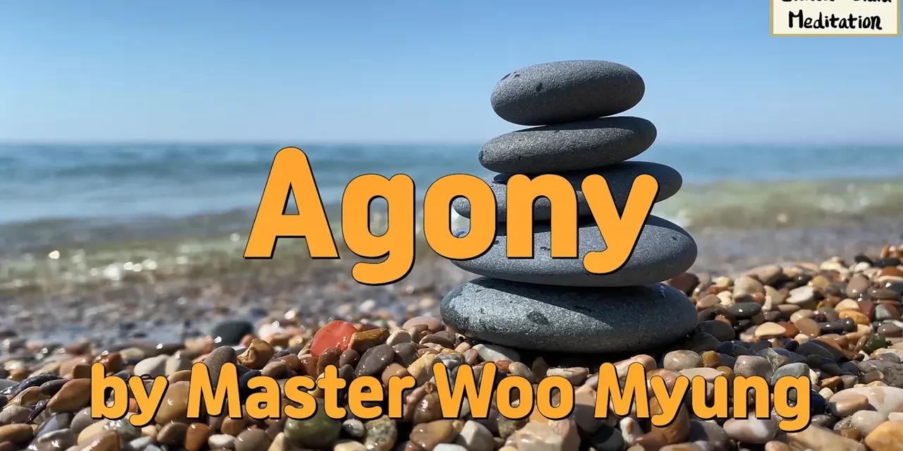 😔 Agony: The Self-Created Nature of Suffering | Master Woo Myung | Santa Clara Meditation