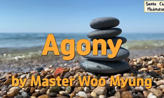 😔 Agony: The Self-Created Nature of Suffering | Master Woo Myung | Santa Clara Meditation