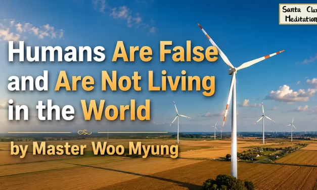 🌈 HUMANS ARE FALSE AND ARE NOT LIVING IN THE WORLD: THE ILLUSION OF MIND-WORLDS | MASTER WOO MYUNG | SANTA CLARA MEDITATION