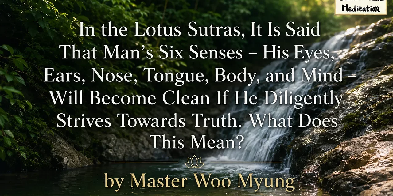 🌼 SIX SENSES BECOME CLEAN THROUGH TRUTH: MEANING OF PURITY IN THE LOTUS SUTRAS | MASTER WOO MYUNG | SANTA CLARA MEDITATION