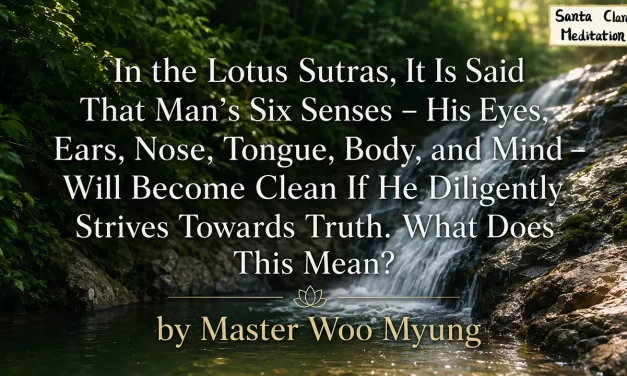 🌼 SIX SENSES BECOME CLEAN THROUGH TRUTH: MEANING OF PURITY IN THE LOTUS SUTRAS | MASTER WOO MYUNG | SANTA CLARA MEDITATION