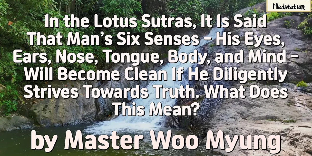 🌼 SIX SENSES BECOME CLEAN THROUGH TRUTH: MEANING OF PURITY IN THE LOTUS SUTRAS | MASTER WOO MYUNG | SANTA CLARA MEDITATION