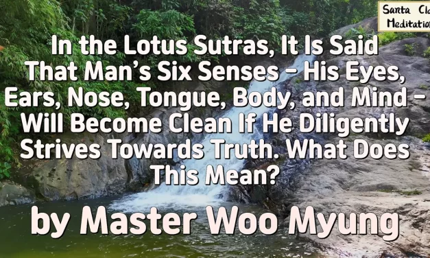 🌼 SIX SENSES BECOME CLEAN THROUGH TRUTH: MEANING OF PURITY IN THE LOTUS SUTRAS | MASTER WOO MYUNG | SANTA CLARA MEDITATION