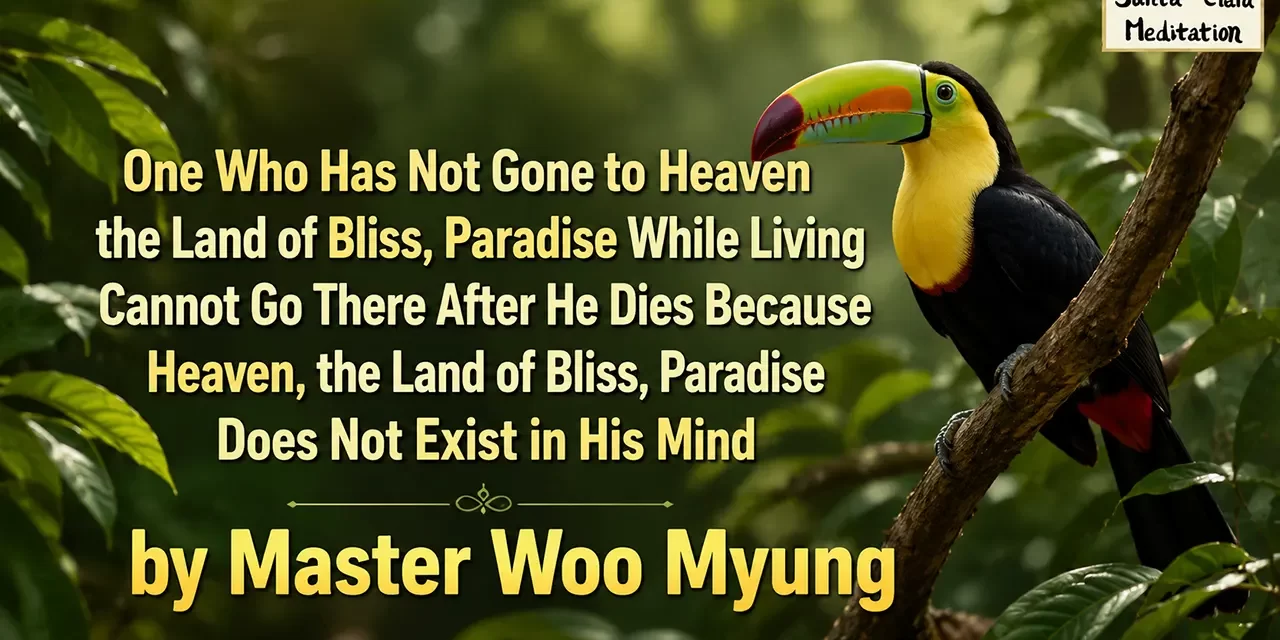 π HEAVEN MUST EXIST IN YOUR MIND WHILE LIVING OR YOU CANNOT GO THERE AFTER DEATH | MASTER WOO MYUNG | SANTA CLARA MEDITATION