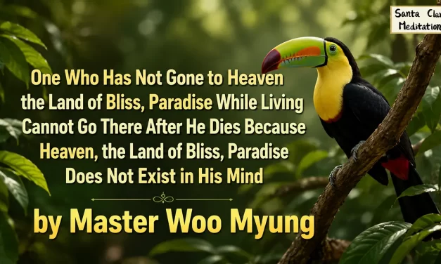 🌈 HEAVEN MUST EXIST IN YOUR MIND WHILE LIVING OR YOU CANNOT GO THERE AFTER DEATH | MASTER WOO MYUNG | SANTA CLARA MEDITATION