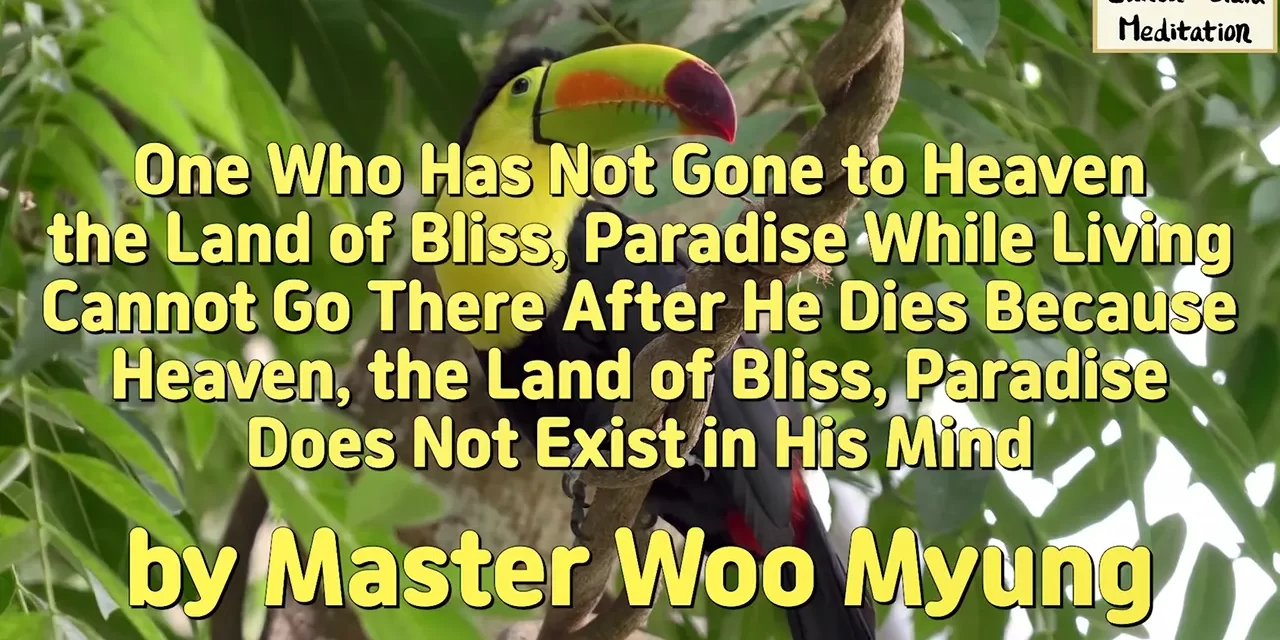 🌈 HEAVEN MUST EXIST IN YOUR MIND WHILE LIVING OR YOU CANNOT GO THERE AFTER DEATH | MASTER WOO MYUNG | SANTA CLARA MEDITATION