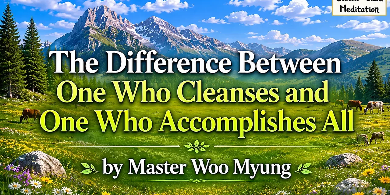 π THE DIFFERENCE BETWEEN ONE WHO CLEANSES AND ONE WHO ACCOMPLISHES ALL | MASTER WOO MYUNG | SANTA CLARA MEDITATION