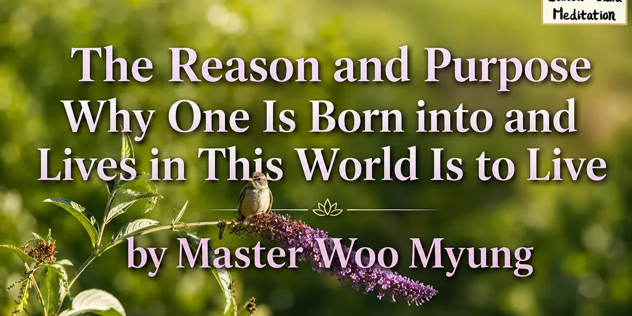 π
The Reason and Purpose Why One Is Born into and Lives in This World Is to Live | Master Woo Myung | Santa Clara Meditation