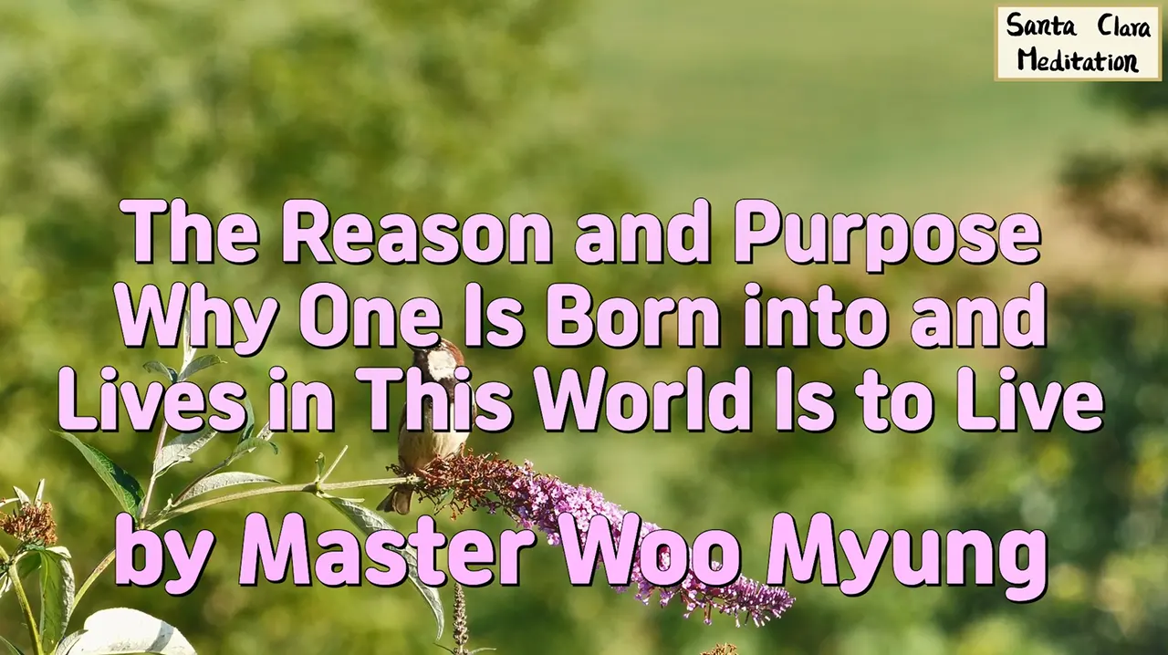 🌅 The Reason and Purpose Why One Is Born into and Lives in This World ...