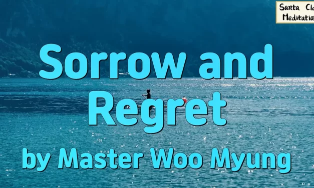 🌊 Sorrow and Regret: Freeing the Universe Mind From Emotional Poison | Master Woo Myung | Santa Clara Meditation