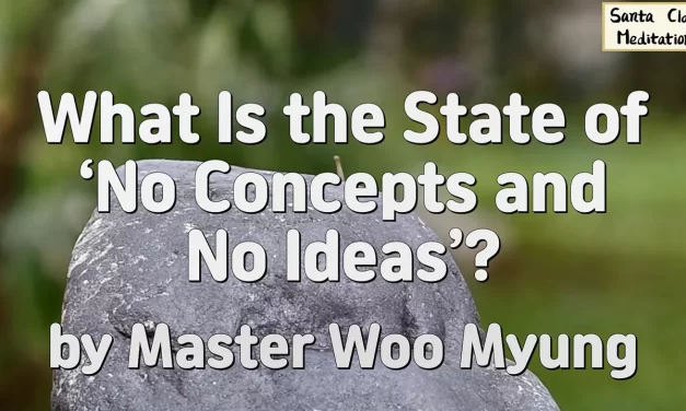🌬️ WHAT IS THE STATE OF ‘NO CONCEPTS AND NO IDEAS’? TRUE EMPTINESS WHILE LIVING DAILY LIFE | MASTER WOO MYUNG | SANTA CLARA MEDITATION