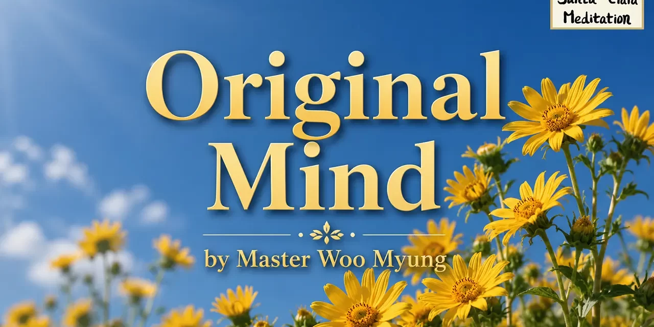 π Original Mind: Returning to the Living Mind of God and the Creator | Master Woo Myung | Santa Clara Meditation