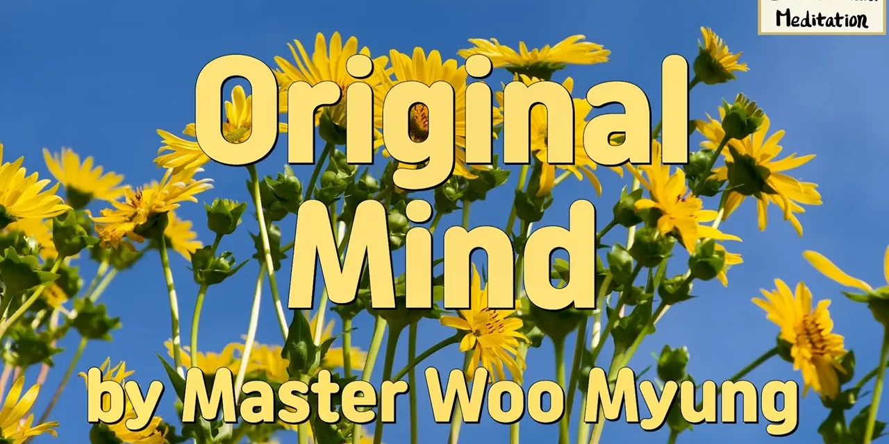 🌞 Original Mind: Returning to the Living Mind of God and the Creator | Master Woo Myung | Santa Clara Meditation