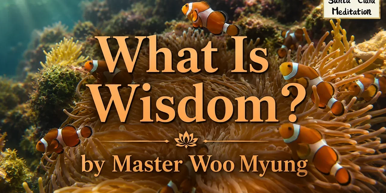 🌿 What Is Wisdom?: true mind clarity realization of truth | Master Woo Myung | Santa Clara Meditation