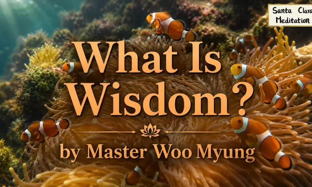 🌿 What Is Wisdom?: true mind clarity realization of truth | Master Woo Myung | Santa Clara Meditation