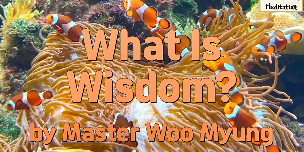 🌿 What Is Wisdom?: true mind clarity realization of truth | Master Woo Myung | Santa Clara Meditation