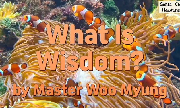 🌿 What Is Wisdom?: true mind clarity realization of truth | Master Woo Myung | Santa Clara Meditation