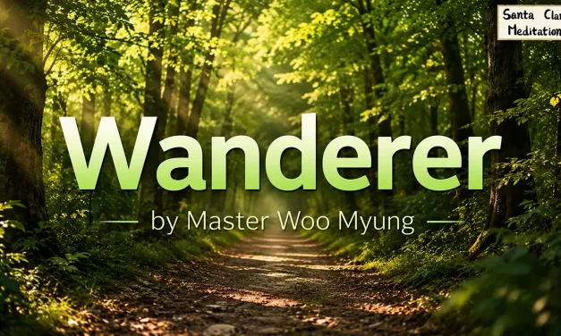 🚶‍♂️ WANDERER: THE WAY OF TRUTH IS NOT THOUGHT BUT WALKING THE PATH | MASTER WOO MYUNG | SANTA CLARA MEDITATION