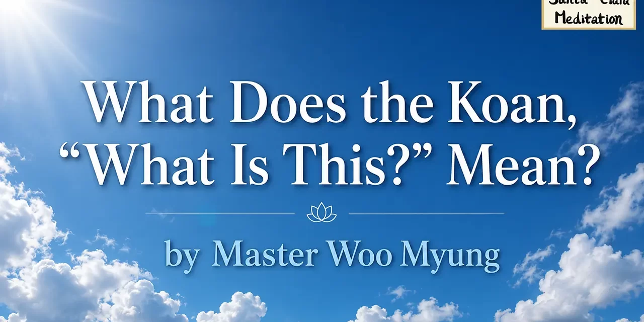 🧩 WHAT DOES THE KOAN, “WHAT IS THIS?” MEAN? THE MYSTERIOUS ORIGIN OF SELF AND CREATION | MASTER WOO MYUNG | SANTA CLARA MEDITATION