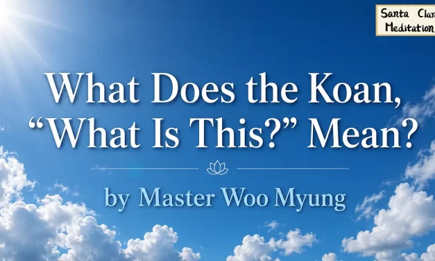 🧩 WHAT DOES THE KOAN, “WHAT IS THIS?” MEAN? THE MYSTERIOUS ORIGIN OF SELF AND CREATION | MASTER WOO MYUNG | SANTA CLARA MEDITATION