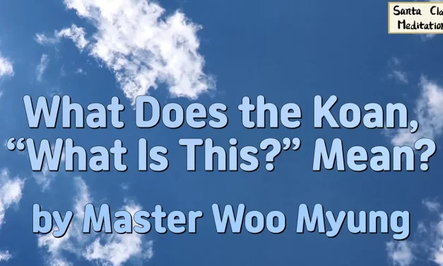 🧩 WHAT DOES THE KOAN, “WHAT IS THIS?” MEAN? THE MYSTERIOUS ORIGIN OF SELF AND CREATION | MASTER WOO MYUNG | SANTA CLARA MEDITATION