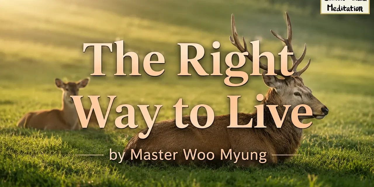 βοΈ The Right Way to Live: peaceful living through detachment and Truth | Master Woo Myung | Santa Clara Meditation