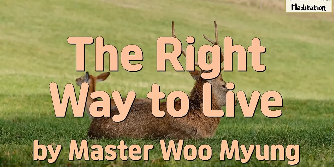 ☀️ The Right Way to Live: peaceful living through detachment and Truth | Master Woo Myung | Santa Clara Meditation