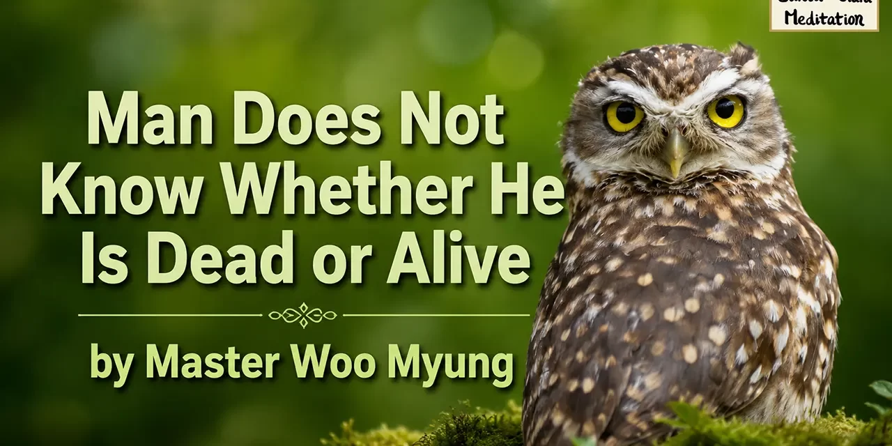 π Man Does Not Know Whether He Is Dead or Alive: Illusion vs Eternal Life | Master Woo Myung | Santa Clara Meditation