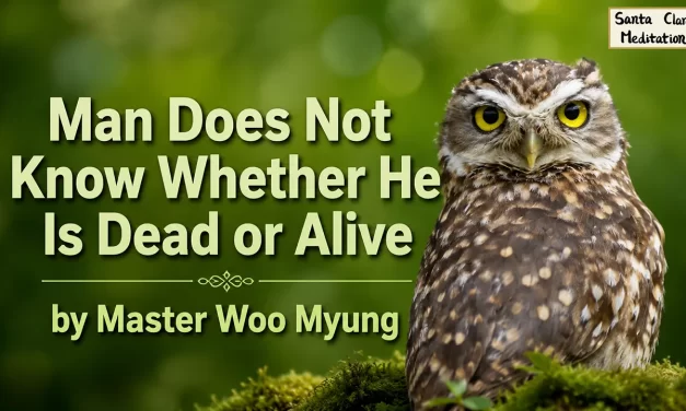 🌞 Man Does Not Know Whether He Is Dead or Alive: Illusion vs Eternal Life | Master Woo Myung | Santa Clara Meditation