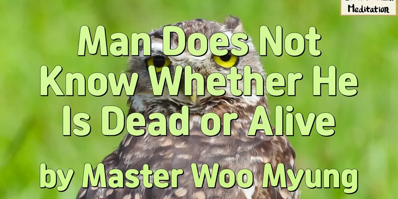 🌞 Man Does Not Know Whether He Is Dead or Alive: Illusion vs Eternal Life | Master Woo Myung | Santa Clara Meditation