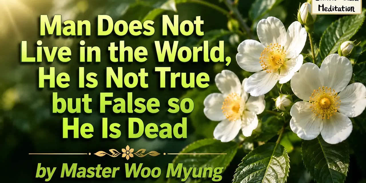 π Man Does Not Live in the World, He Is Not True but False so He Is Dead: Truth and Illusion | Master Woo Myung | Santa Clara Meditation