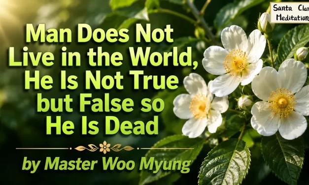 🌌 Man Does Not Live in the World, He Is Not True but False so He Is Dead: Truth and Illusion | Master Woo Myung | Santa Clara Meditation