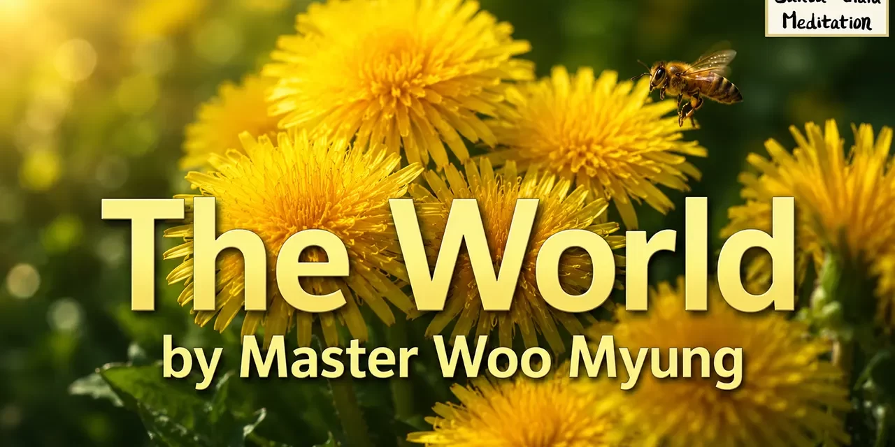 🌌 THE WORLD IS NOISY BUT HEAVEN IS SILENT: SEEING THROUGH MAN’S MIND AND RETURNING TO TRUTH | MASTER WOO MYUNG | SANTA CLARA MEDITATION