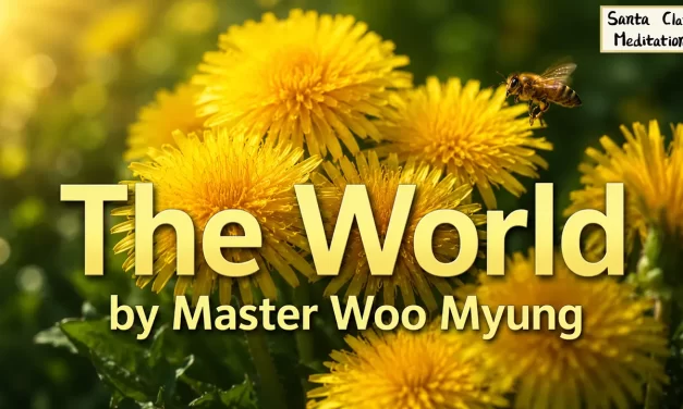 🌌 THE WORLD IS NOISY BUT HEAVEN IS SILENT: SEEING THROUGH MAN’S MIND AND RETURNING TO TRUTH | MASTER WOO MYUNG | SANTA CLARA MEDITATION