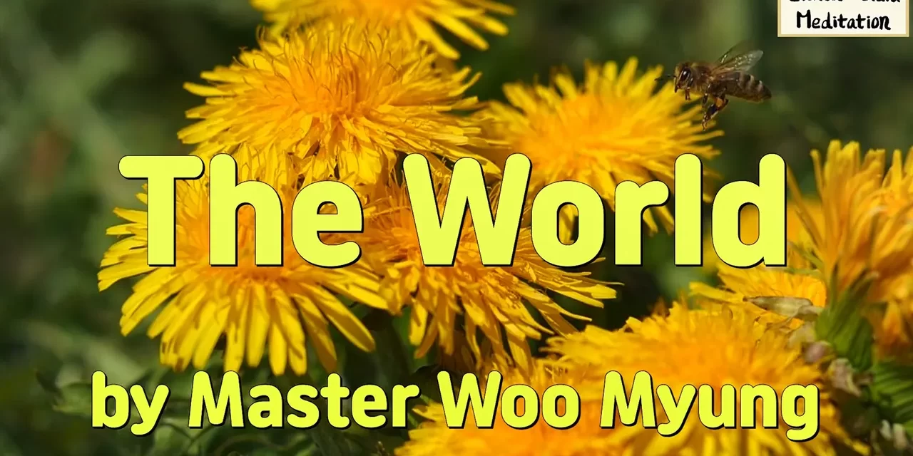 🌌 THE WORLD IS NOISY BUT HEAVEN IS SILENT: SEEING THROUGH MAN’S MIND AND RETURNING TO TRUTH | MASTER WOO MYUNG | SANTA CLARA MEDITATION