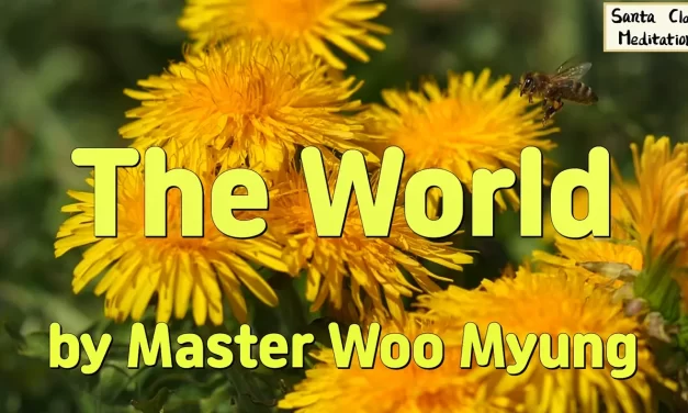 🌌 THE WORLD IS NOISY BUT HEAVEN IS SILENT: SEEING THROUGH MAN’S MIND AND RETURNING TO TRUTH | MASTER WOO MYUNG | SANTA CLARA MEDITATION