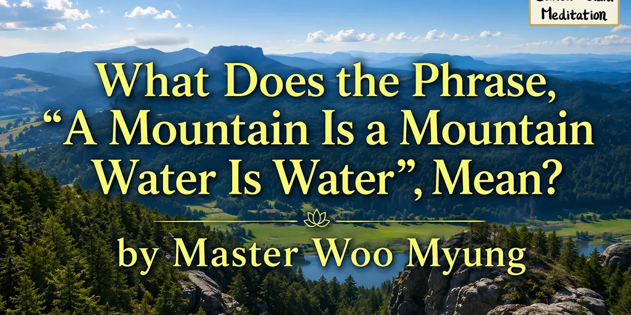 🌌 What Does the Phrase, “A Mountain Is a Mountain, Water Is Water”, Mean?: unity of nature truth | Master Woo Myung | Santa Clara Meditation