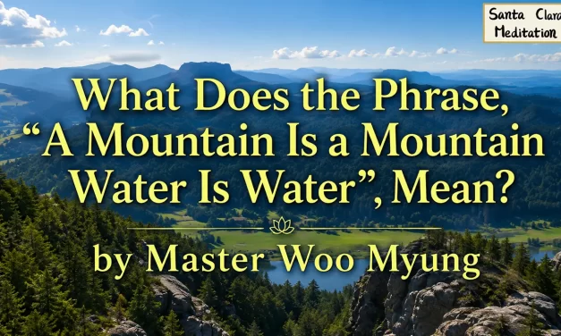 🌌 What Does the Phrase, “A Mountain Is a Mountain, Water Is Water”, Mean?: unity of nature truth | Master Woo Myung | Santa Clara Meditation