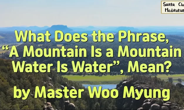 🌌 What Does the Phrase, “A Mountain Is a Mountain, Water Is Water”, Mean?: unity of nature truth | Master Woo Myung | Santa Clara Meditation