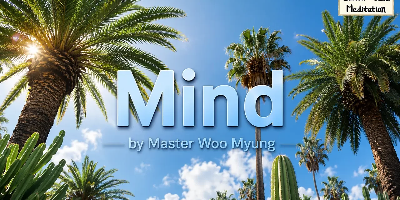 🧘 Mind: stop searching and awaken to the Truth within | Master Woo Myung | Santa Clara Meditation