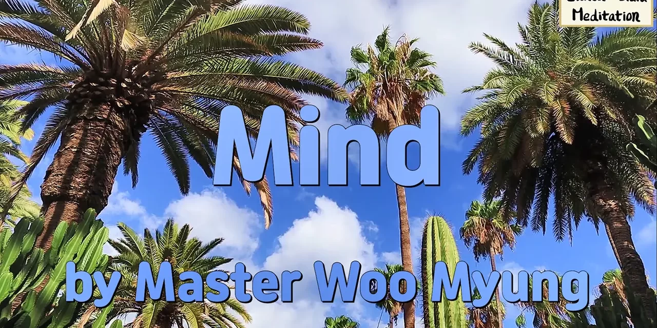🧘 Mind: stop searching and awaken to the Truth within | Master Woo Myung | Santa Clara Meditation