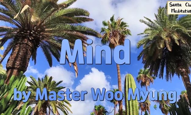 🧘 Mind: stop searching and awaken to the Truth within | Master Woo Myung | Santa Clara Meditation