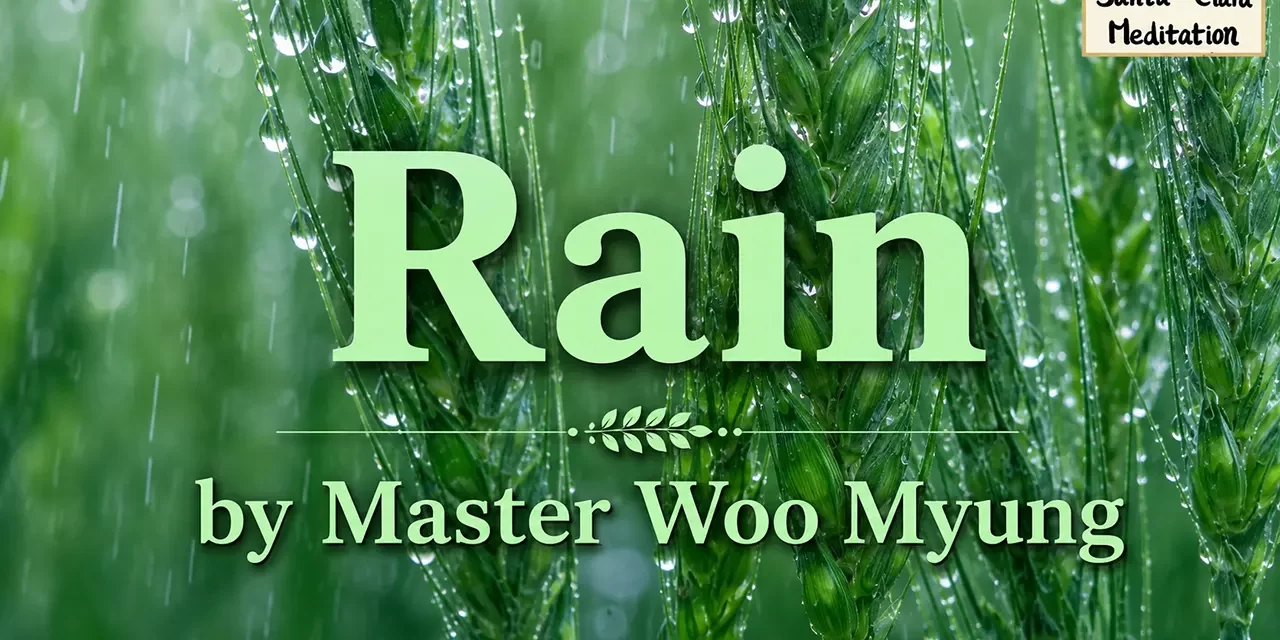🌧️ Rain: Unchanging Truth Behind the Illusion of Life | Master Woo Myung | Santa Clara Meditation