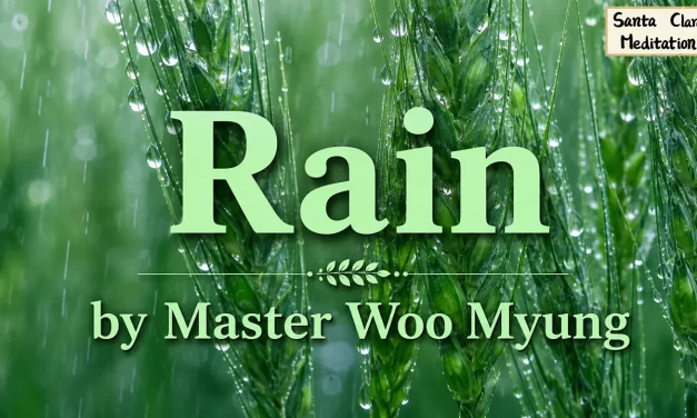 🌧️ Rain: Unchanging Truth Behind the Illusion of Life | Master Woo Myung | Santa Clara Meditation