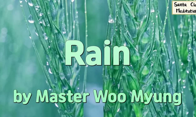 🌧️ Rain: Unchanging Truth Behind the Illusion of Life | Master Woo Myung | Santa Clara Meditation