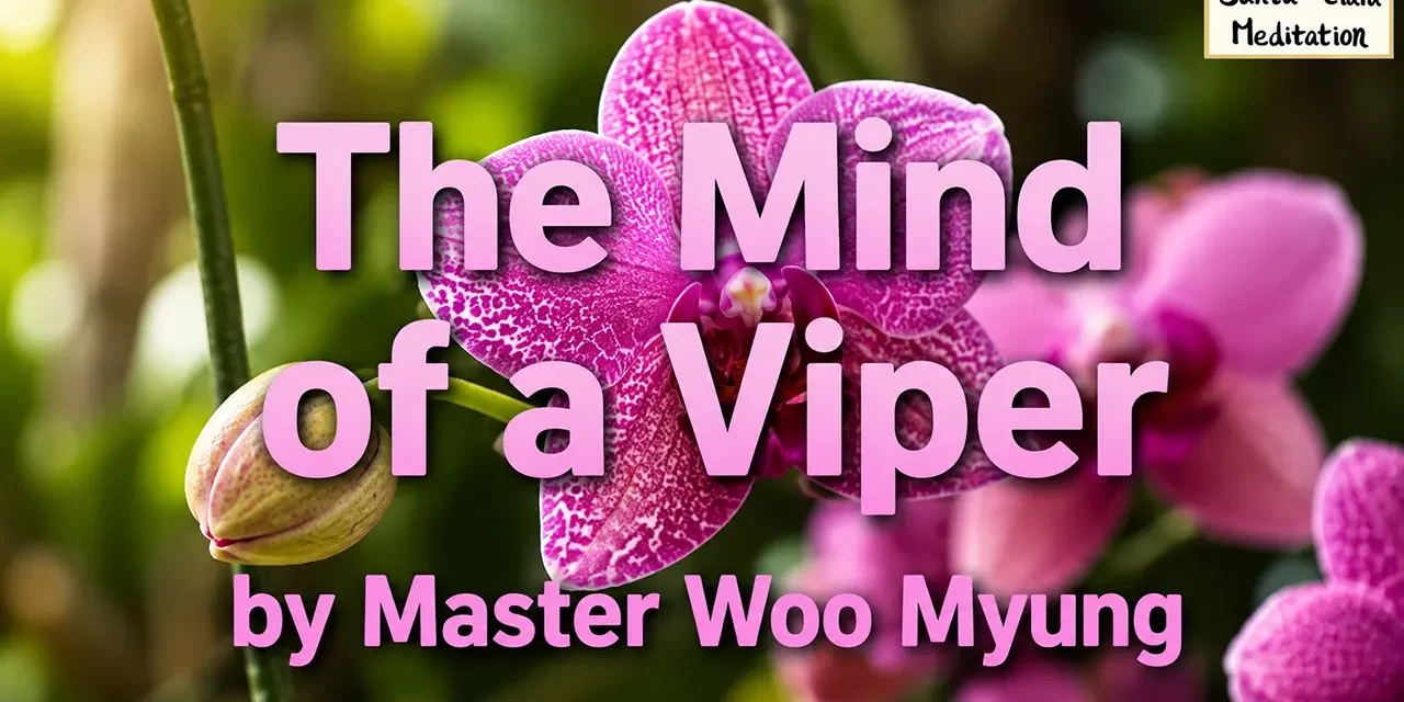 π
THE MIND OF A VIPER CANNOT REACH HEAVEN: ONLY WARM REPENTANCE TOUCHES TRUTH | MASTER WOO MYUNG | SANTA CLARA MEDITATION