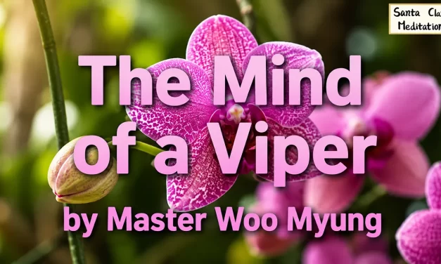 🌅 THE MIND OF A VIPER CANNOT REACH HEAVEN: ONLY WARM REPENTANCE TOUCHES TRUTH | MASTER WOO MYUNG | SANTA CLARA MEDITATION